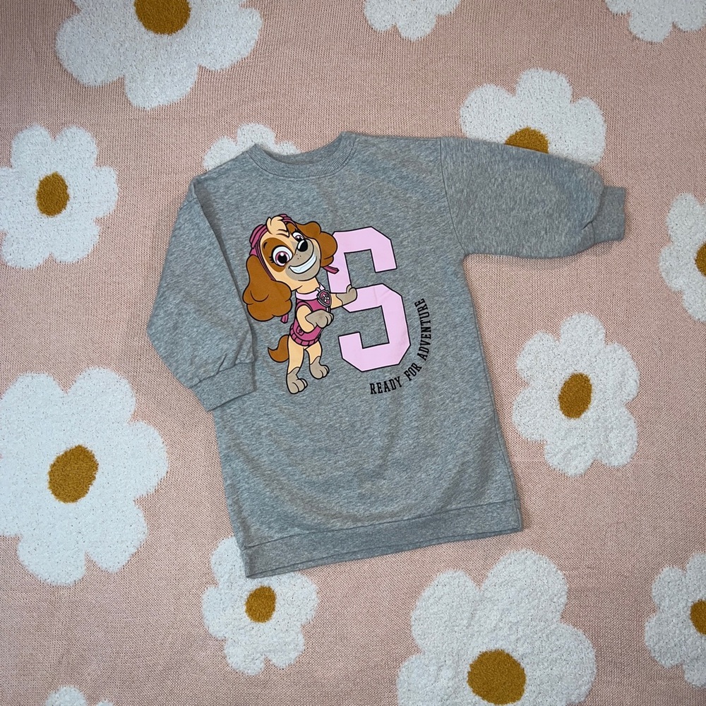 Zara Paw Patrol Nickelodeon Gray marl Plush Dress Size 4-5T